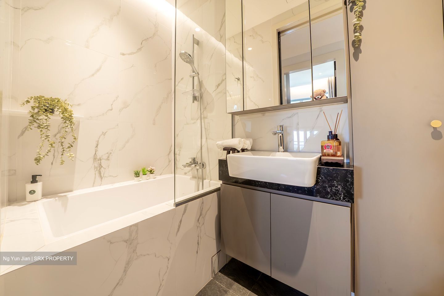 11 Amber Road (D15), Apartment #452521051